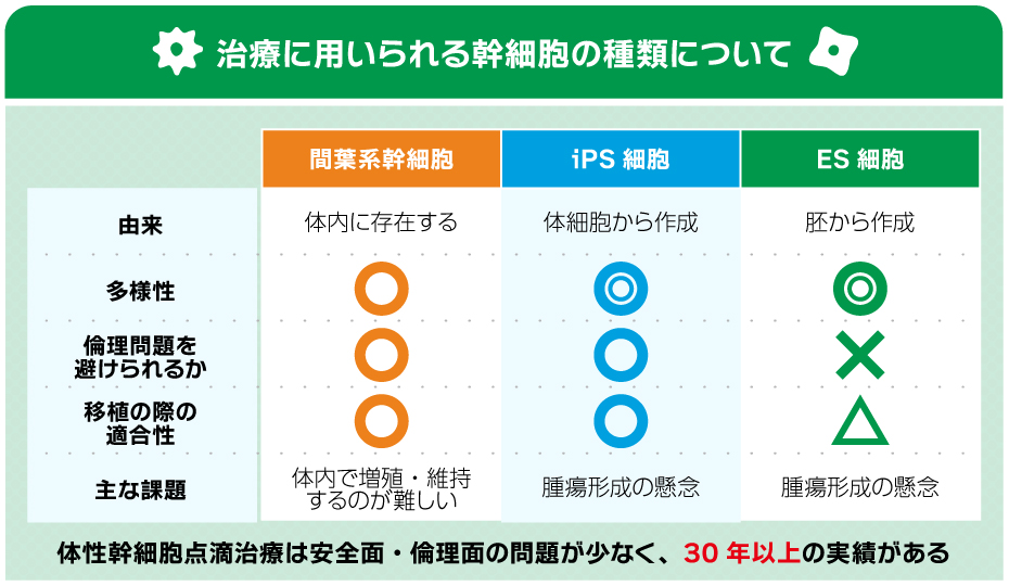 治療で用いられる幹細胞の種類について