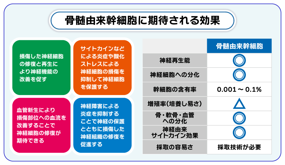 骨髄由来幹細胞に期待される効果