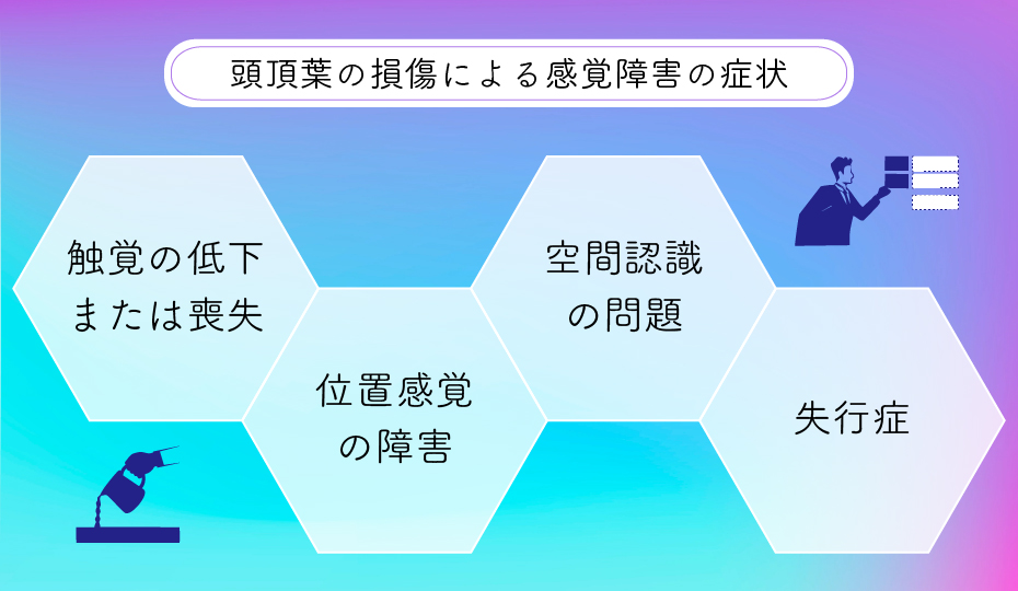 頭頂葉の損傷による感覚障害の症状