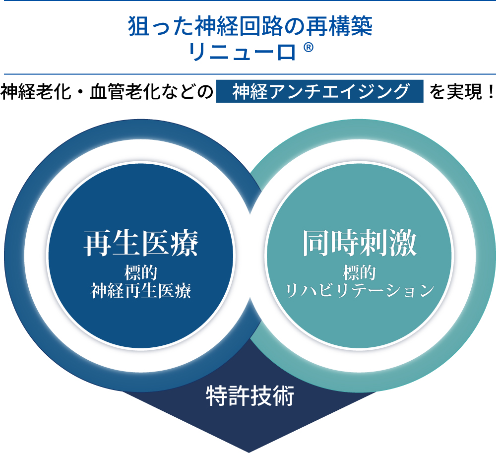独自の再生医療技術の解説イメージ